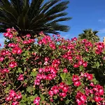 La Dei Girasoli Σπίτι διακοπών *