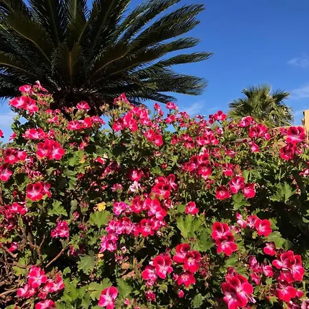 La Dei Girasoli Holiday home *